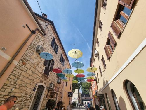 campery asone - WhatsApp Image 2021-11-04 at 13.11.27 (4)